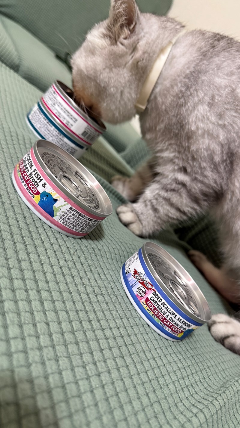 女人知己試用大隊,口碑行銷,部落客行銷,PURRFACT 波菲特貓用主食罐,主食罐,PURRFACT波菲特,貓主食罐,貓罐,PURRFACT波菲特貓用主食罐,魚肉蔓越莓主食罐,鮮嫩雞主食罐,鹿肉雞肉主食罐,牛肉鵪鶉貓主食罐,干貝蠶蛹配方,鱷魚肉白木耳配方,雞肉魚肉配方,安心鶉配方,評價,體驗,適口性佳,心得,成貓適用,高齡貓適用,質地是慕絲狀